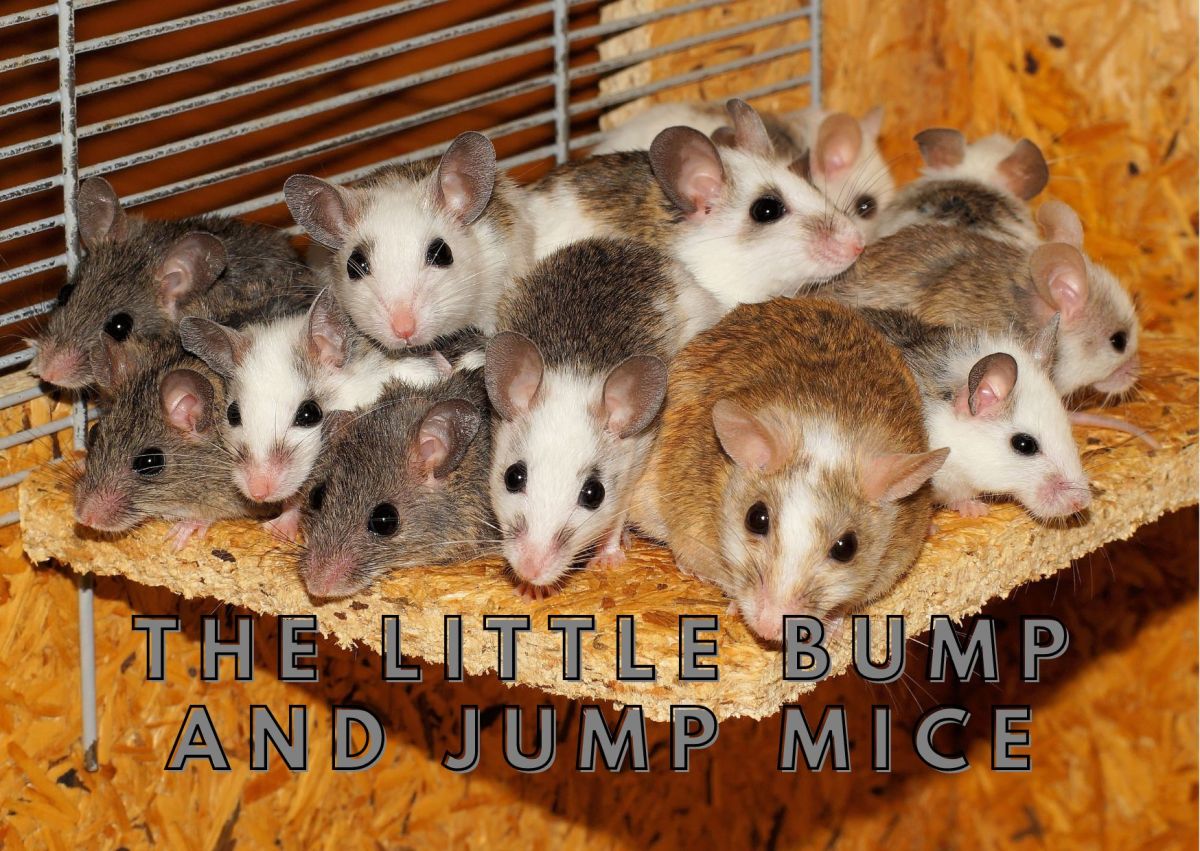 The Little Bump and Jump Mice